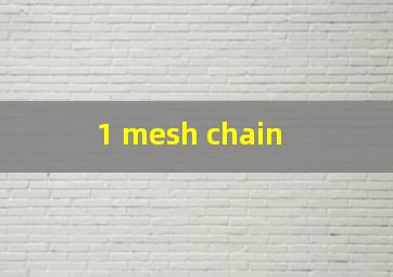  1 mesh chain